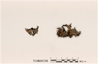 藏品(北海道袋梅衣)的圖片